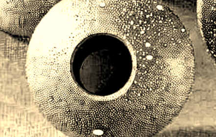 Halved Then Erased: The Situational Awareness Fund Liquidation and the AI-Crypto Reckoning Halved Then Erased: The Situational Awareness Fund Liquidation and the AI-Crypto Reckoning