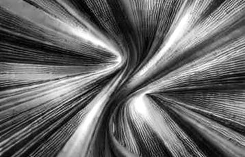 The Bridge That Whispered Then Screamed: AFX Trade Loses 24M USDC on Arbitrum The Bridge That Whispered Then Screamed: AFX Trade Loses 24M USDC on Arbitrum