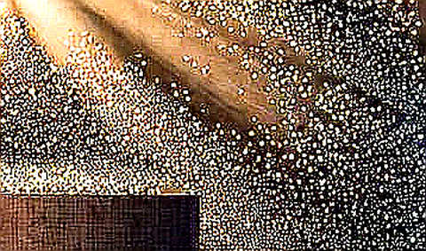 The Storage Token Collapse: A Mathematical Autopsy The Storage Token Collapse: A Mathematical Autopsy