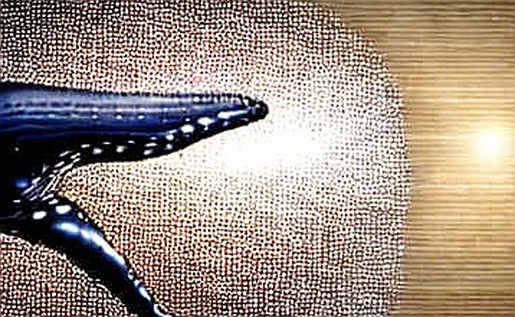 The Silence After the Roar: How Andrew Tate’s Arrest Reveals the Hollow Code of the DADDY Meme Coin The Silence After the Roar: How Andrew Tate’s Arrest Reveals the Hollow Code of the DADDY Meme Coin