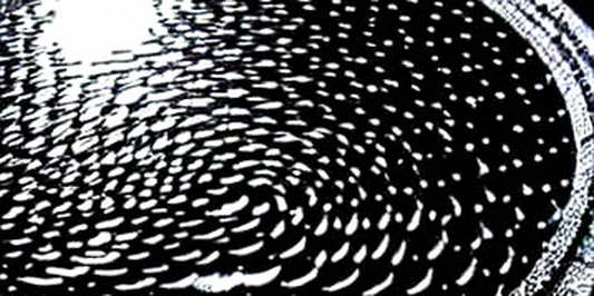 The Taiwan Strait: An Unaudited Smart Contract of Gray Zone Escalation The Taiwan Strait: An Unaudited Smart Contract of Gray Zone Escalation