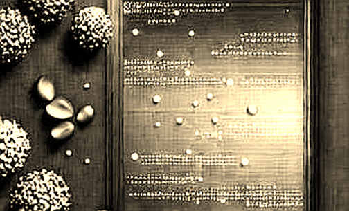 The Sanctions Signal: On-Chain Data Reveals a Divergent Reality in the Face of Geopolitical Pressure The Sanctions Signal: On-Chain Data Reveals a Divergent Reality in the Face of Geopolitical Pressure