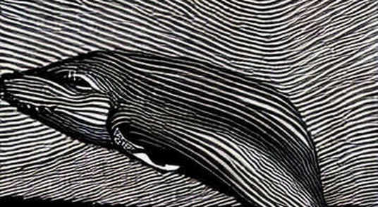 The Signal in the Noise: When Zero Information Becomes Your Strongest Data Point