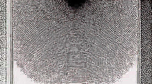 AI’s Privacy Leak Exposes the Fatal Flaw of Centralized Trust: Why Blockchain Must Own the Data Layer AI’s Privacy Leak Exposes the Fatal Flaw of Centralized Trust: Why Blockchain Must Own the Data Layer