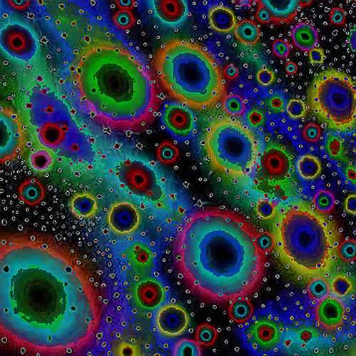 Cardano's Slow Philosophy: A Data Detective's Verdict on Hoskinson's Anthropic Analogy Cardano's Slow Philosophy: A Data Detective's Verdict on Hoskinson's Anthropic Analogy