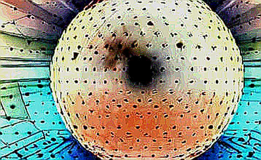 The Agentic AI Mirage: Why Franklin Templeton's Crypto Call Rings Hollow Without On-Chain Proof The Agentic AI Mirage: Why Franklin Templeton's Crypto Call Rings Hollow Without On-Chain Proof