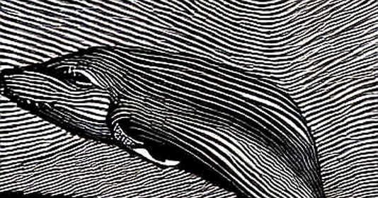 The Macro Fracture: Why Crypto's Resilience Mirrors PIMCO's Emerging Market Thesis, But with a Chaotic Surface The Macro Fracture: Why Crypto's Resilience Mirrors PIMCO's Emerging Market Thesis, But with a Chaotic Surface