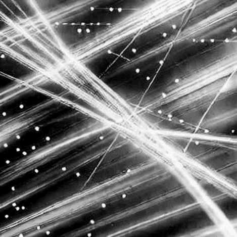 The Great Bitcoin Divergence: Spot Lethargy Meets Derivative Frenzy The Great Bitcoin Divergence: Spot Lethargy Meets Derivative Frenzy