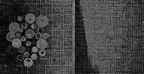 The Data Void: Why Empty Analysis Sheets Signal Market Inflection The Data Void: Why Empty Analysis Sheets Signal Market Inflection
