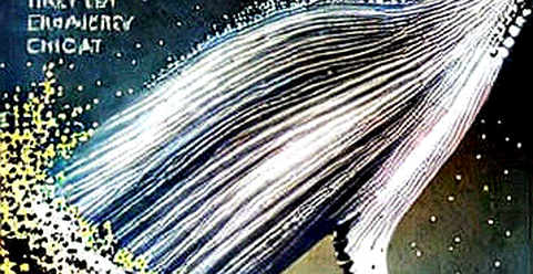 The Tether-NSE Mirage: Why Kenya's Capital Market Just Signed a One-Sided Deal with the Crypto Wild West