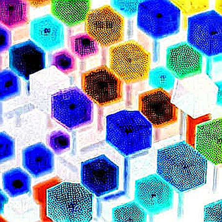 Bank of England Hawks Are Isolated: The Terminal Rate Signal Rewiring Crypto's Liquidity Math Bank of England Hawks Are Isolated: The Terminal Rate Signal Rewiring Crypto's Liquidity Math